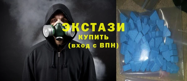 индика Богородск