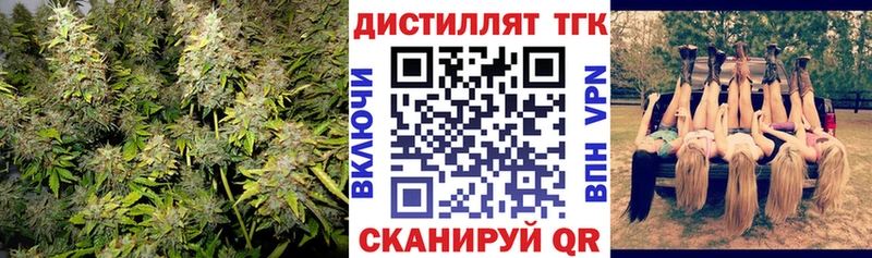 ТГК THC oil  Кудрово 