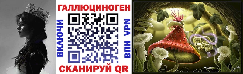 Псилоцибиновые грибы Psilocybine cubensis  ссылка на мегу маркетплейс  Кудрово 